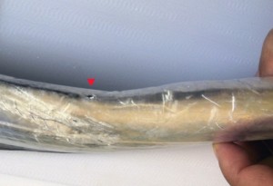 タチウオのさばき方