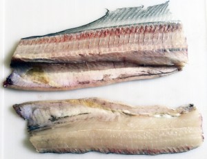 タチウオのさばき方