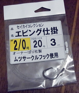 RIMG000762