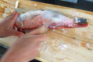 アマダイのさばき方