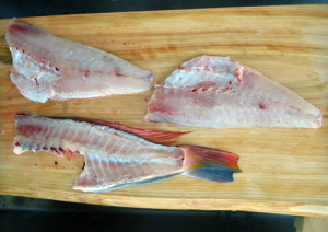 アマダイのさばき方