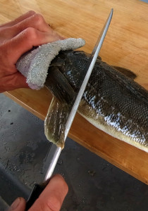 マゴチの作り方