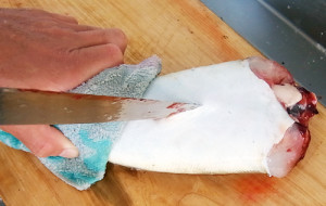 マゴチの作り方