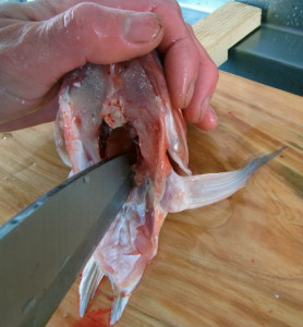 アマダイのさばき方