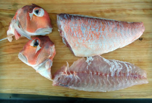 アマダイのさばき方