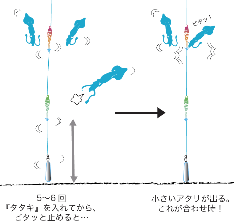 マルイカ釣り方