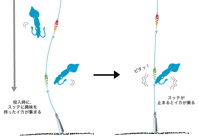 ライトマルイカ