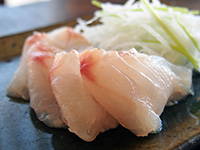 ホウボウのお造り