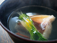 ホウボウの潮汁