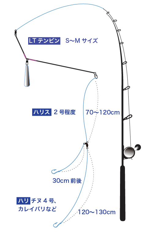 アマダイ 釣りかた