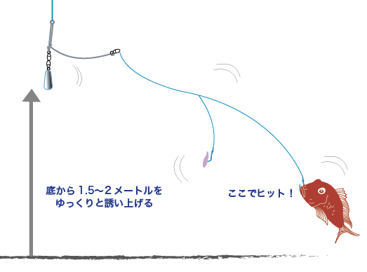 アマダイ 釣り方