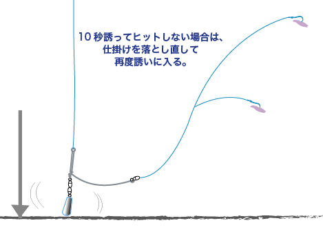 アマダイ 釣り方