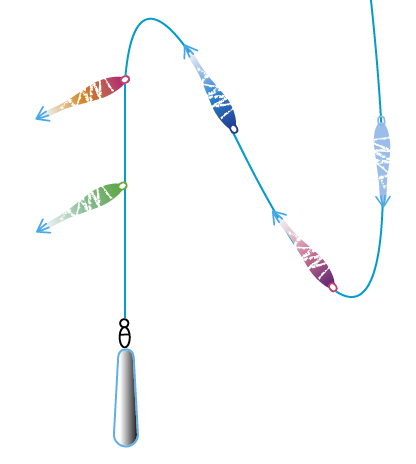 マルイカ仕掛け