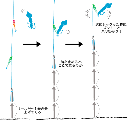 【5月8日】ライトマル・ムギイカ船が熱い！　今日のトップは76杯！