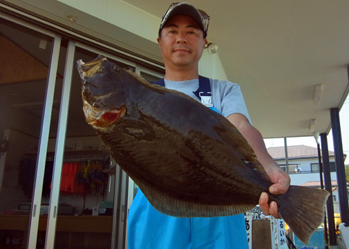 【5月7日】エボシ沖のムギイカ、本日も60杯オーバー！　キス・コチ・ヒラメ船ではキス56尾。ヒラメ2.3キロ！