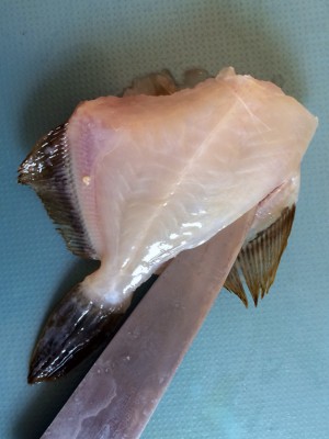 カワハギの干物と、みりん干し