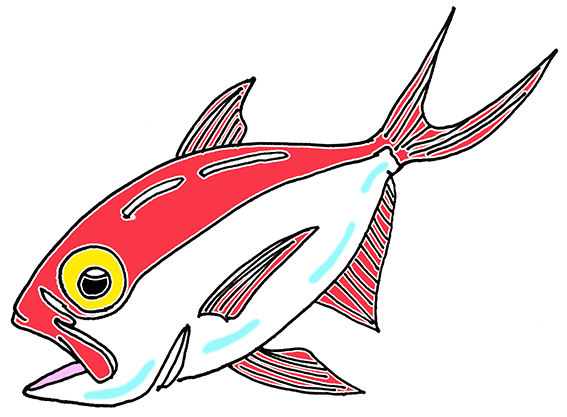 【2月8日】燃料費値下げのため、キンメ五目船＆ルアーサワラ船の乗船料を見直しました。