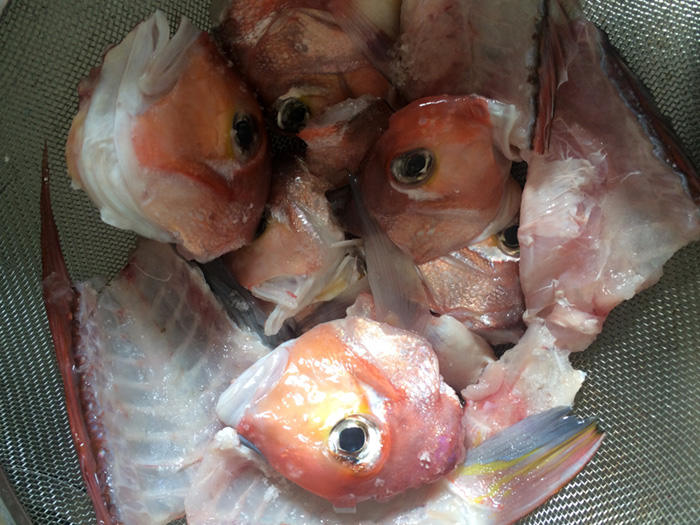 マダイ、アマダイのお雑煮