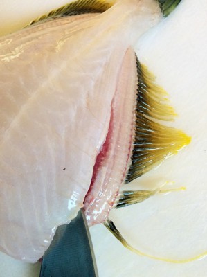 濃厚スープは釣り人の特権、カワハギの肝鍋