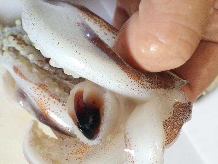 スルメイカの肝バター焼き