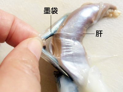 マルイカのスルメ肝和え