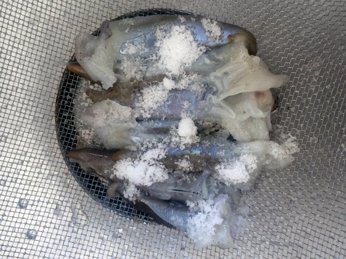 マルイカのスルメ肝和え