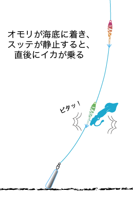 マルイカ 釣り方
