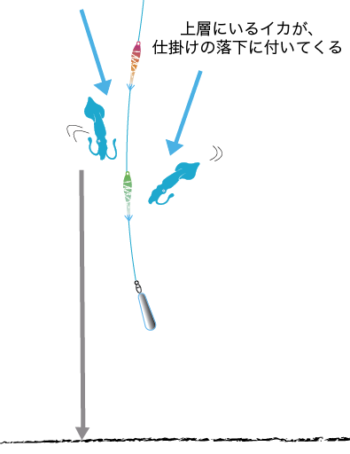 マルイカ 釣り方