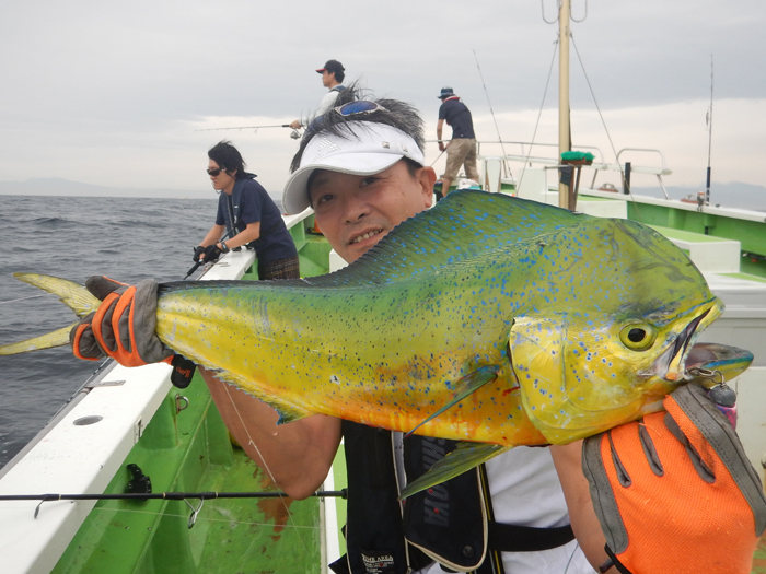 【7月4日】海悪くもシイラは裏切らず、今日も大型キャッチ！　10日からルアーキハダ船スタート！　