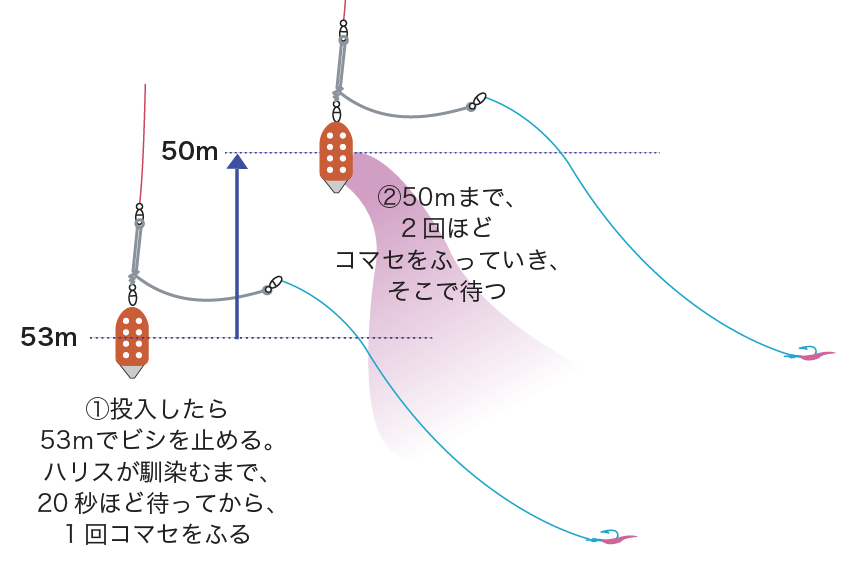 コマセキハダ釣り方