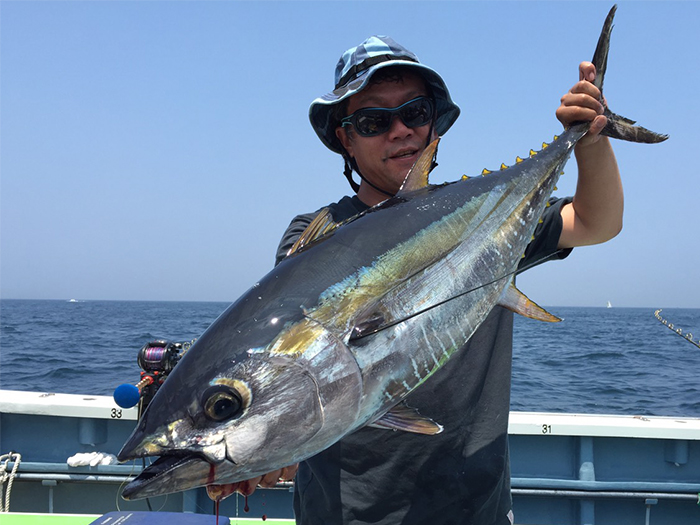 【速報】コマセキハダ船緒戦。最大14キロ、ヒット多数! 水曜からはコマセカツオ船スタート!