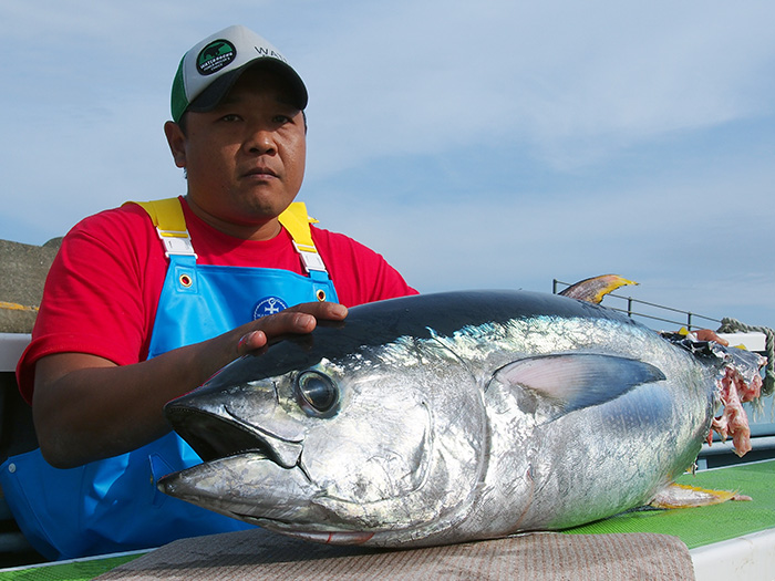 【9月30日】コマセキハダの連勝記録『9』。サメ、サバの被害少なく、江ノ島沖でヤリイカの乗り活発！
