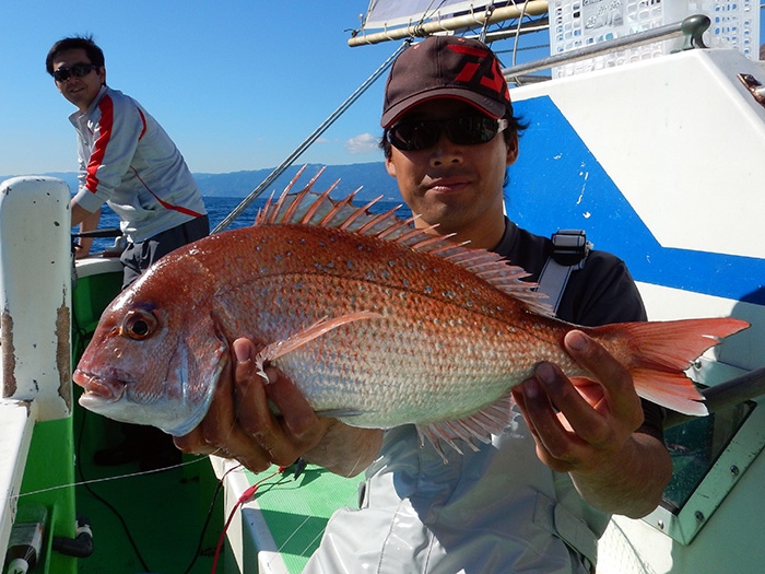 【速報】『コマセマダイCUP』エントリーサイズ3尾キャッチ！　カワハギは茅ヶ崎沖で高活性！