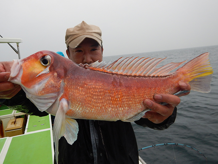 【11月8日】ライトアマダイ船、依然大型ラッシュ。51，48，40センチ！　明日は予報が悪く休船します
