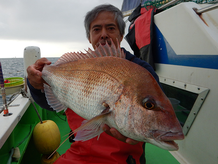 【11月16日】ヤリイカ船『後藤船長の必乗!アタリを出す誘い方』を図解説明しました