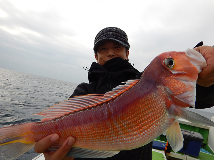 【11月22日】ライトアマダイ船、トップ14尾、最大43センチ！　コマセマダイ船は本命、ゲストともにヒット多数。1日で復活！