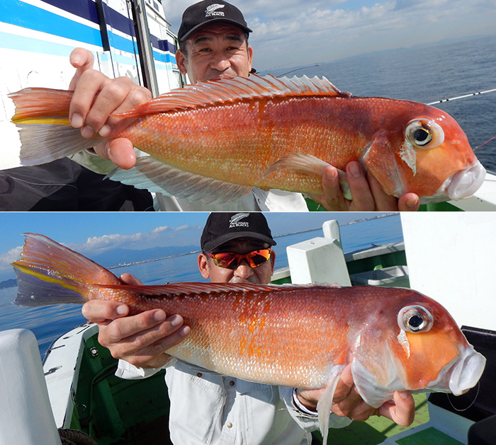 【11月5日】ライトアマダイ船、シーズン最高の日。40，50，55センチを釣った竿頭氏の誘い方図解にしました