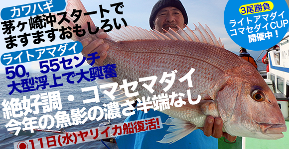 【12時速報】土曜日のカワハギ船は満船となりました。最新のご予約状況もここで