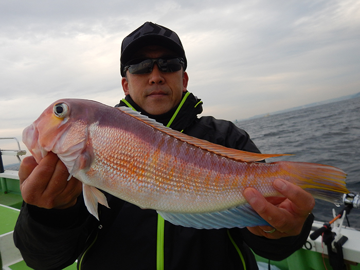 【12月21日】地元エボシ沖カワハギ&ヤリイカ、食い気たっぷり! ライトアマダイ今日も良型主体!