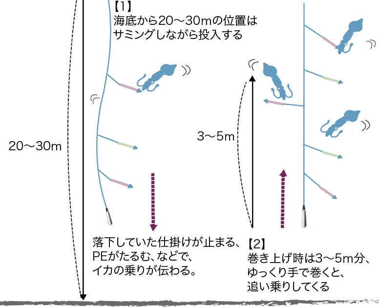 ヤリイカ釣り方