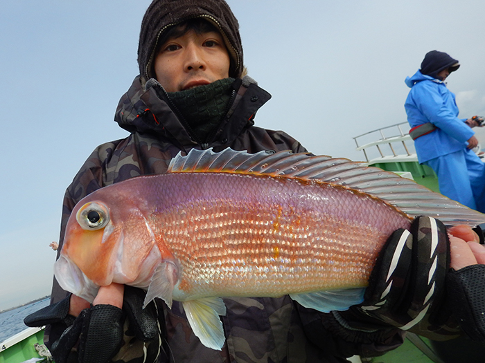 【速報】明日はシケ予報のため、出船をとりやめます。カワハギ船は今月いっぱいで終了です