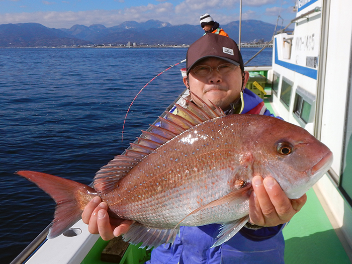 【速報】復調、コマセマダイ船。トップ3尾は2名。2キロオーバー2尾！　ヤリイカ連日乗り活発！