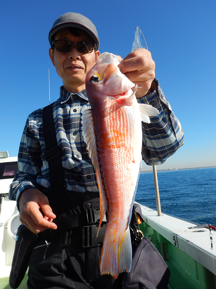 【速報】ライトアマダイ復活、トップ13尾！　コマセマダイ船は今月で休船、来月からキンメ五目が出船します