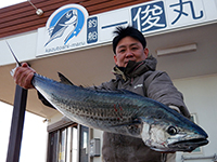 sawara