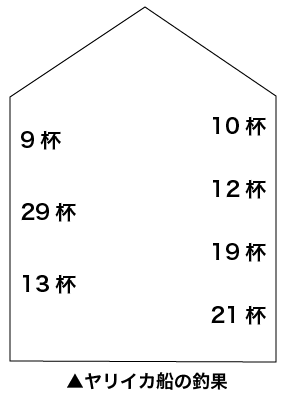ヤリイカ船釣果