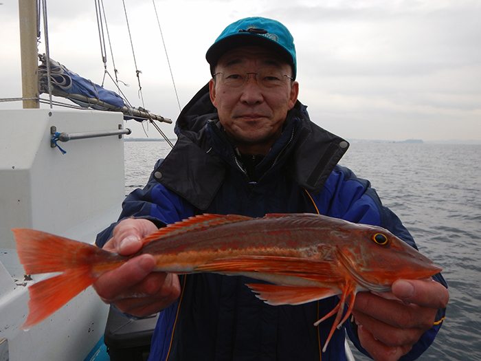 【2月1日】ヤリイカ船&ホウボウ船、トップの方々の誘い方を図解説明しました。