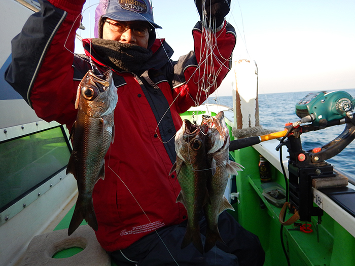 【2月5日】明日のルアーサワラ船は満船となりました。沖の瀬のヤリイカ、パラソル級多数！