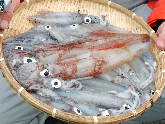 【速報】ライトマルイカ船、トップ27杯！　ルアーサワラ船、トップ3尾は2名！