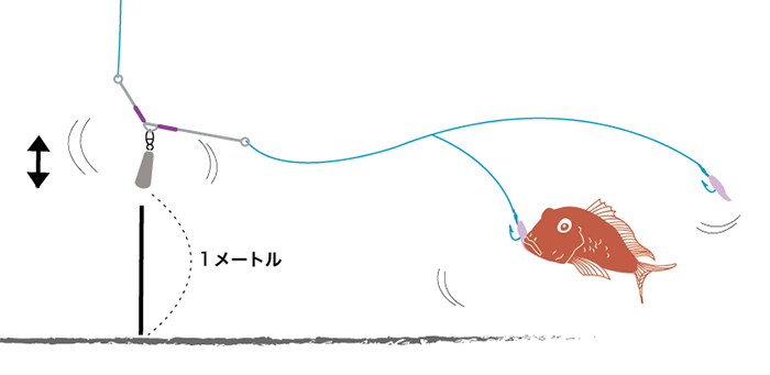 【3月19日】明日のライトアマダイ船は満船です。本日トップ12尾『誘い過ぎない方法』図解解説しました。
