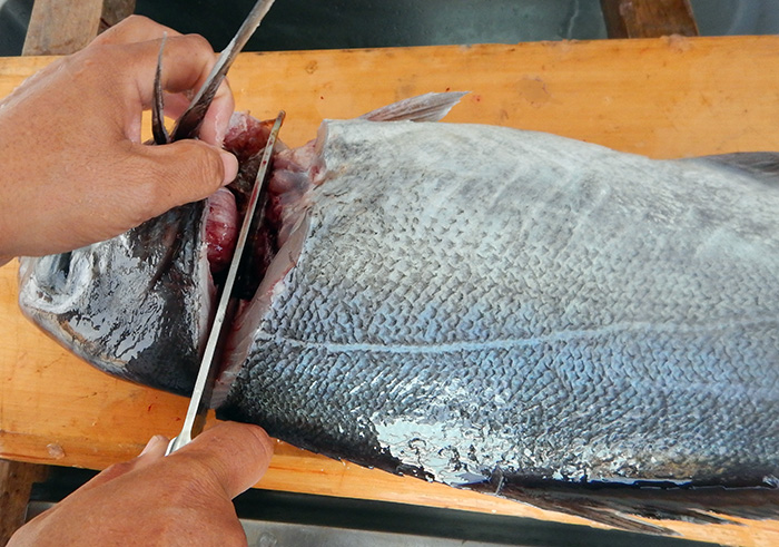 メダイのおろし方